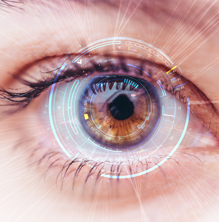 Netvlies oog