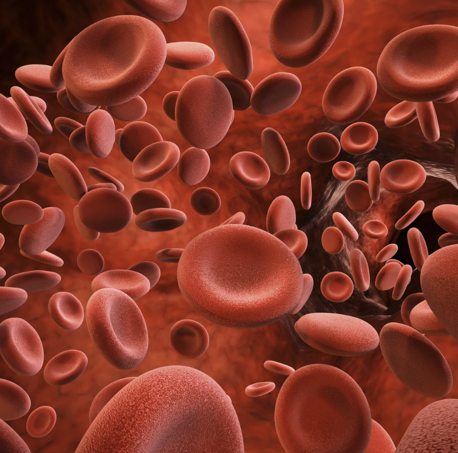 B12 in bloed