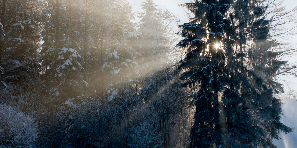 weinig zonlicht in de winter
