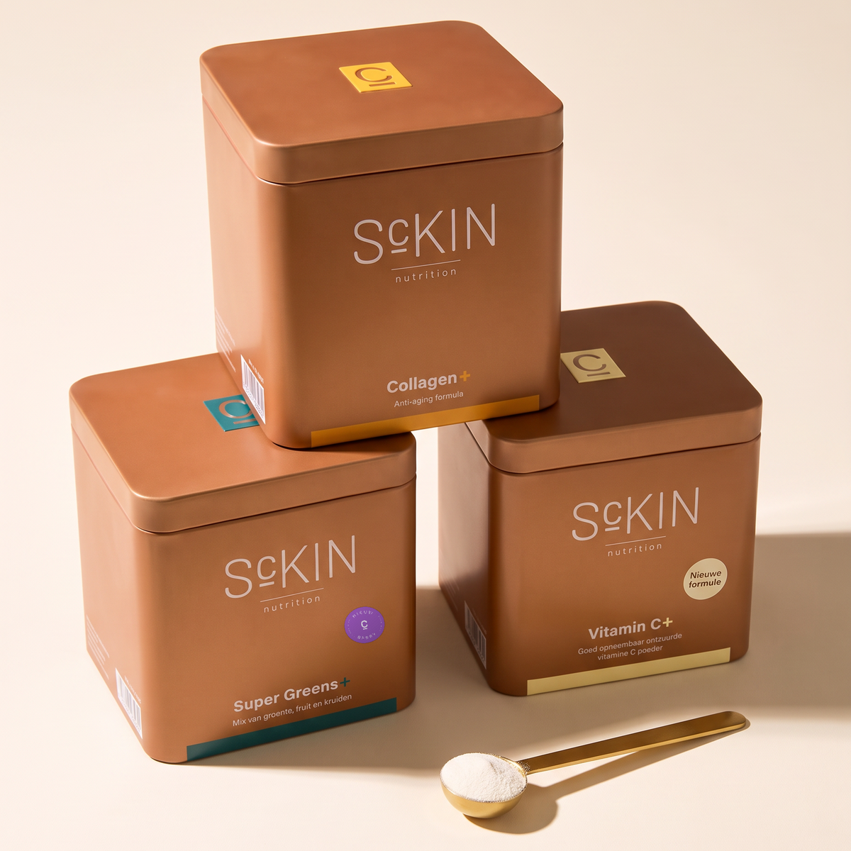 winter glow box